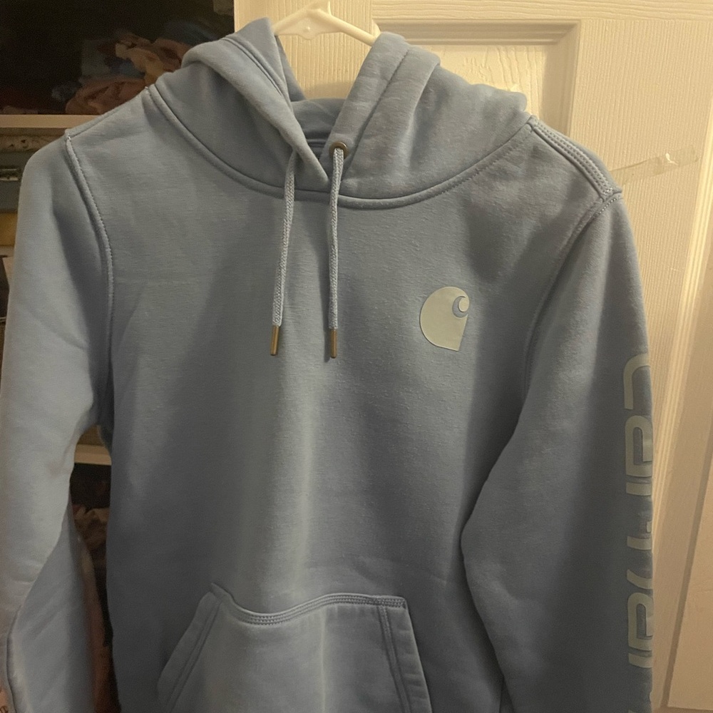 Carhartt Relaxed Fit Hoodie